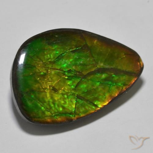 amolita Multicolorido Natural 24.89ct, Chique, Opaco