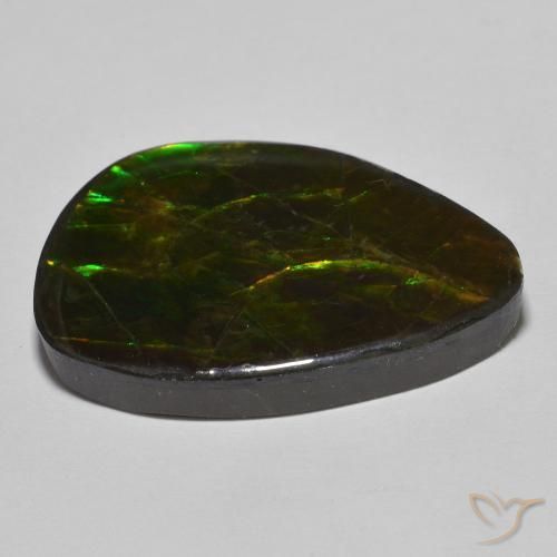 amolita Multicolorido Natural 24.89ct, Chique, Opaco