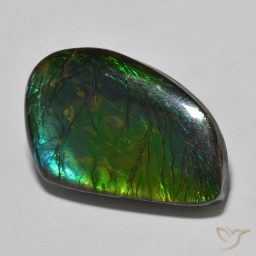 21.44ct Natural Multicolorido amolita, Chique, Opaco