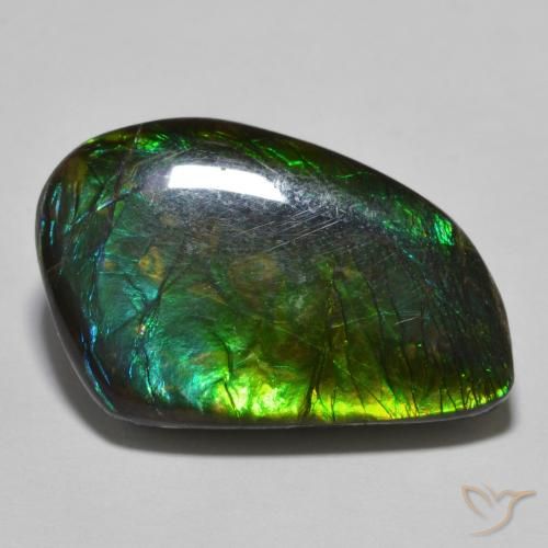 amolita Multicolorido Natural 21.44ct, Chique, Opaco