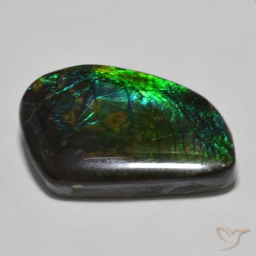 amolita Multicolorido Natural 21.44ct, Chique, Opaco
