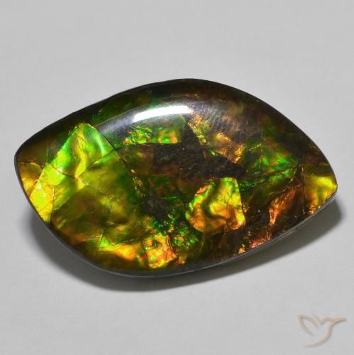 22.60ct Natural Multicolorido amolita, Chique, Opaco