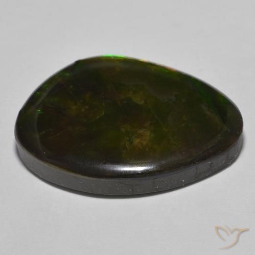 amolita Multicolorido Natural 22.15ct, Chique, Opaco