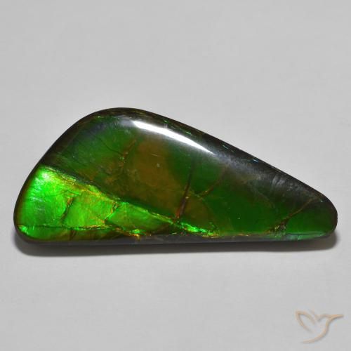 amolita Multicolorido Natural 22.11ct, Chique, Opaco