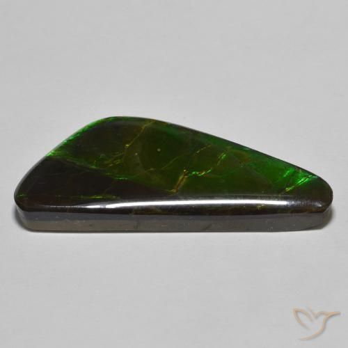 amolita Multicolorido Natural 22.11ct, Chique, Opaco