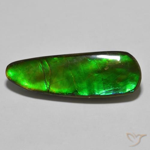 17.83ct Natural Multicolorido amolita, Chique, Opaco