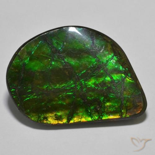 21.40ct Natural Multicolorido amolita, Chique, Opaco