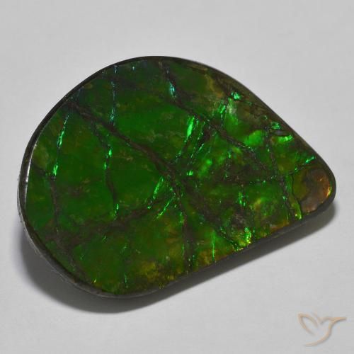 amolita Multicolorido Natural 21.40ct, Chique, Opaco