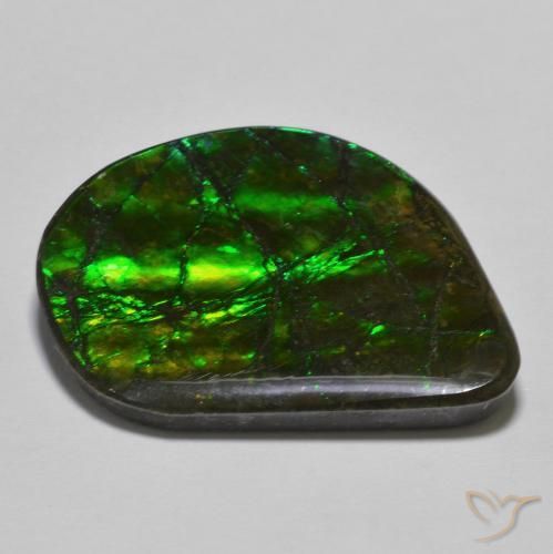 amolita Multicolorido Natural 21.40ct, Chique, Opaco