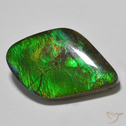 19.69ct Natural Multicolorido amolita, Chique, Opaco