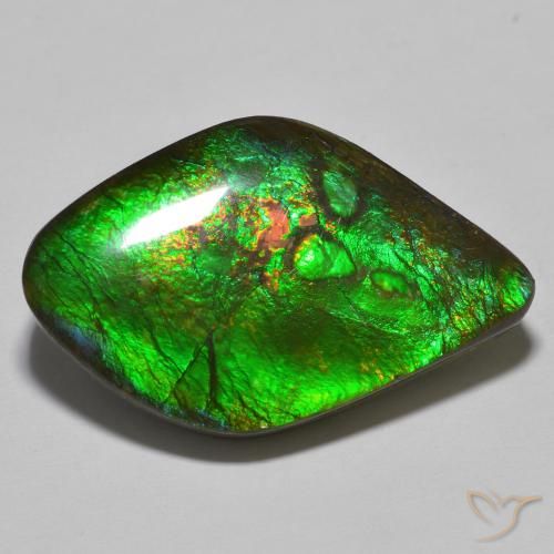 amolita Multicolorido Natural 19.69ct, Chique, Opaco