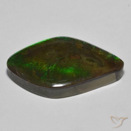 amolita Multicolorido Natural 19.69ct, Chique, Opaco