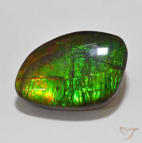 13.47ct Natural Multicolorido amolita, Chique, Opaco