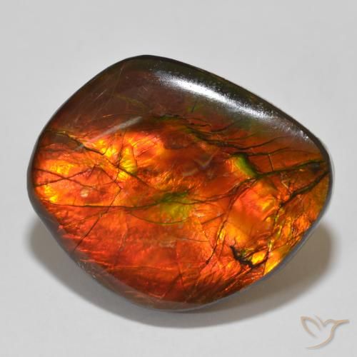 15.32ct Natural Multicolorido amolita, Chique, Opaco