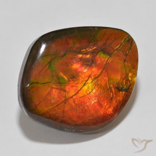 amolita Multicolorido Natural 15.32ct, Chique, Opaco