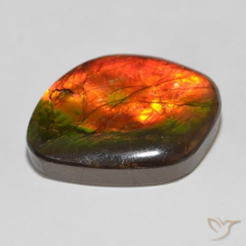 amolita Multicolorido Natural 15.32ct, Chique, Opaco