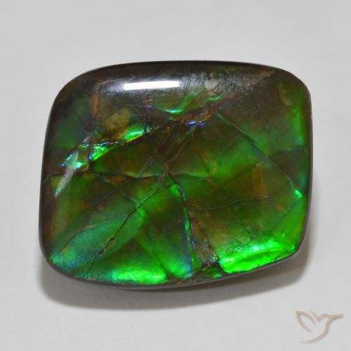 14.81ct Natural Multicolorido amolita, Chique, Opaco