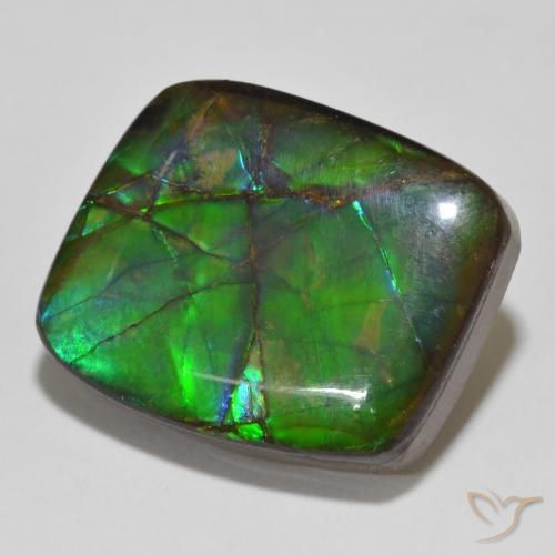 amolita Multicolorido Natural 14.81ct, Chique, Opaco