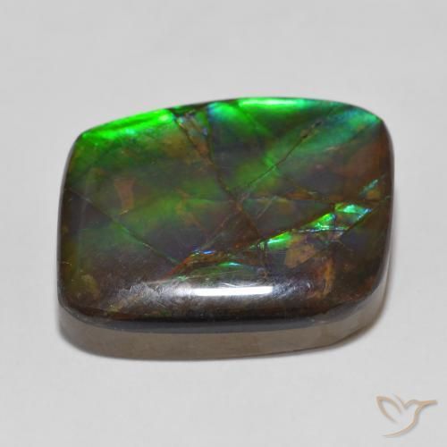 amolita Multicolorido Natural 14.81ct, Chique, Opaco