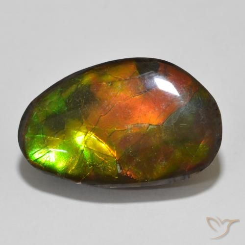 13.56ct Natural Multicolorido amolita, Chique, Opaco