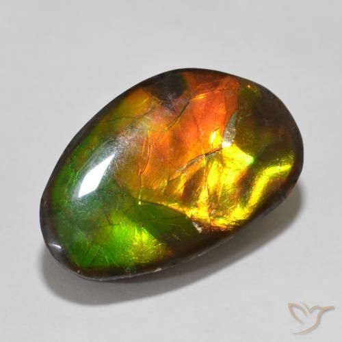 amolita Multicolorido Natural 13.56ct, Chique, Opaco