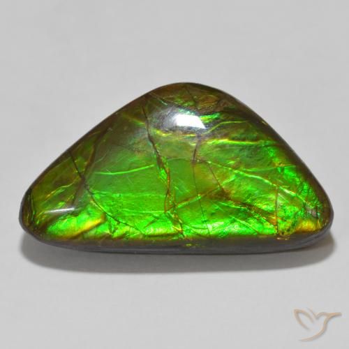 15.46ct Natural Multicolorido amolita, Chique, Opaco