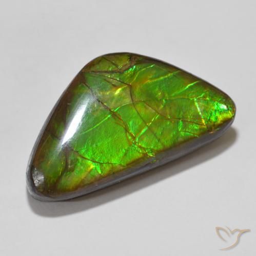 amolita Multicolorido Natural 15.46ct, Chique, Opaco