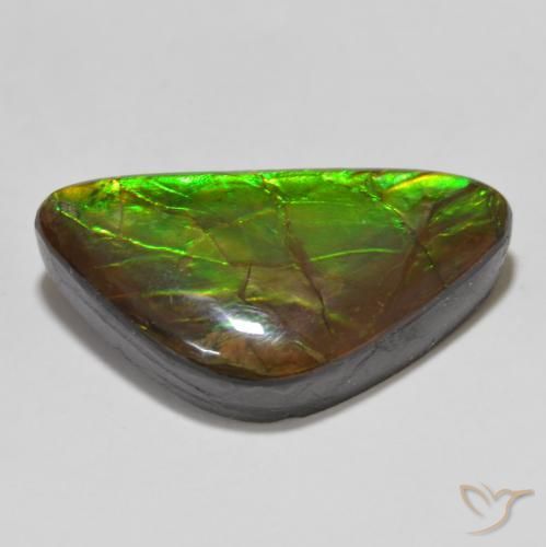 amolita Multicolorido Natural 15.46ct, Chique, Opaco