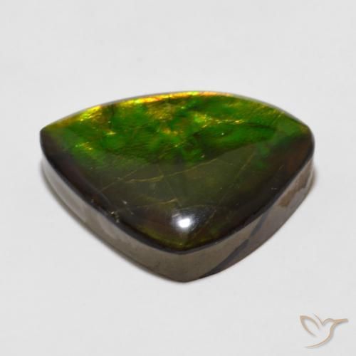 amolita Multicolorido Natural 11.47ct, Chique, Opaco