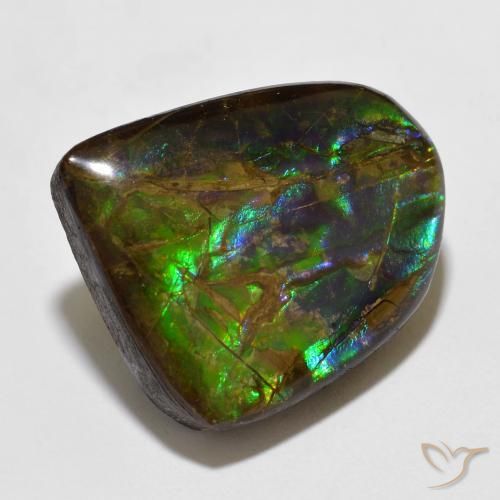 amolita Multicolorido Natural 15.49ct, Chique, Opaco