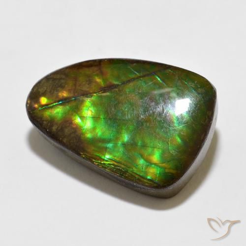 amolita Multicolorido Natural 10.67ct, Chique, Opaco