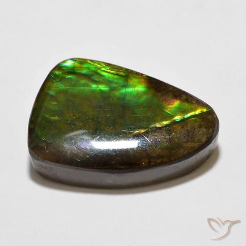 amolita Multicolorido Natural 10.67ct, Chique, Opaco