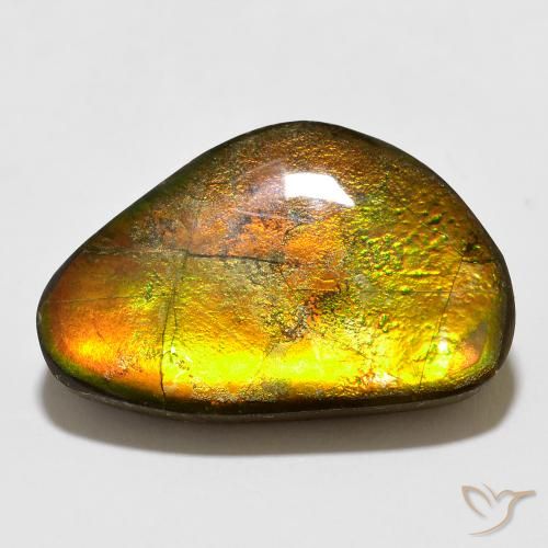 12.35ct Natural Multicolorido amolita, Chique, Opaco