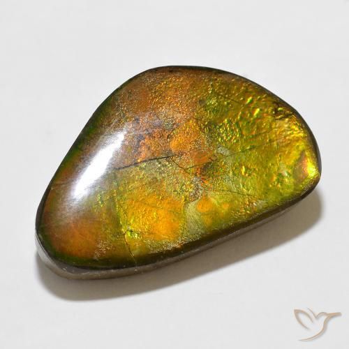 amolita Multicolorido Natural 12.35ct, Chique, Opaco