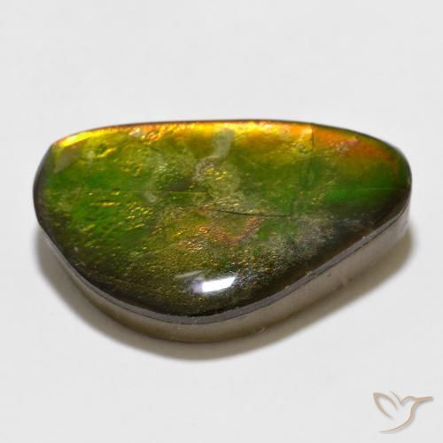 amolita Multicolorido Natural 12.35ct, Chique, Opaco