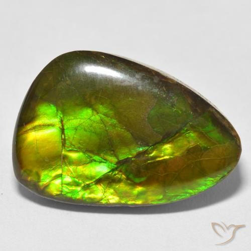 17.22ct Natural Multicolorido amolita, Chique, Opaco