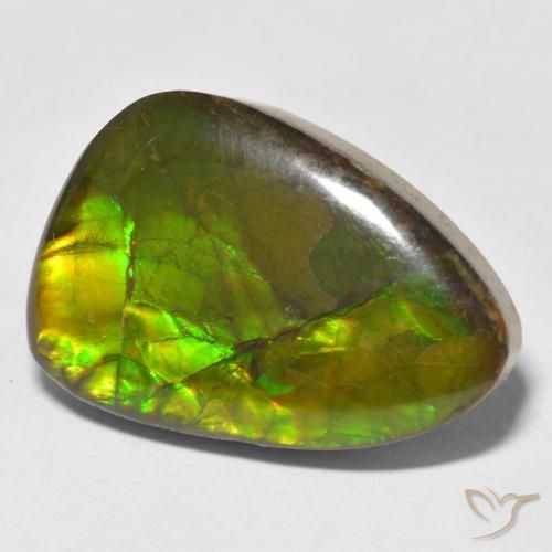 amolita Multicolorido Natural 17.22ct, Chique, Opaco