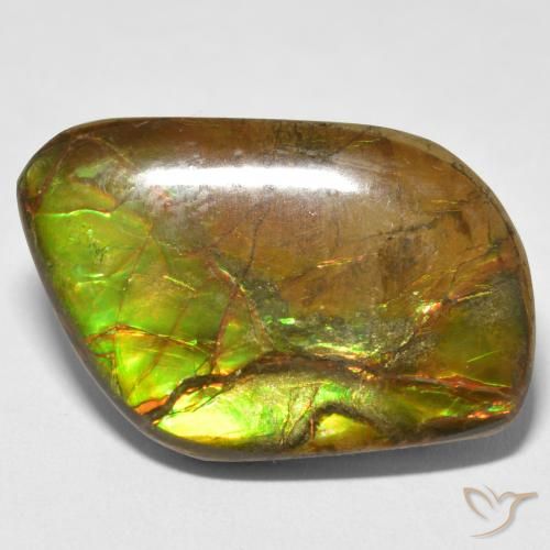 16.70ct Natural Multicolorido amolita, Chique, Opaco