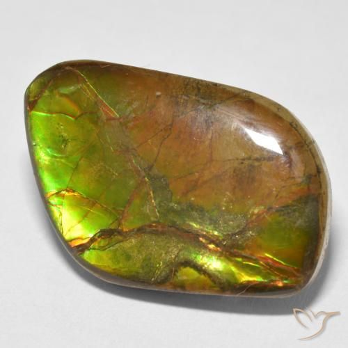 amolita Multicolorido Natural 16.70ct, Chique, Opaco