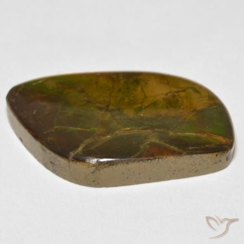 amolita Multicolorido Natural 16.70ct, Chique, Opaco