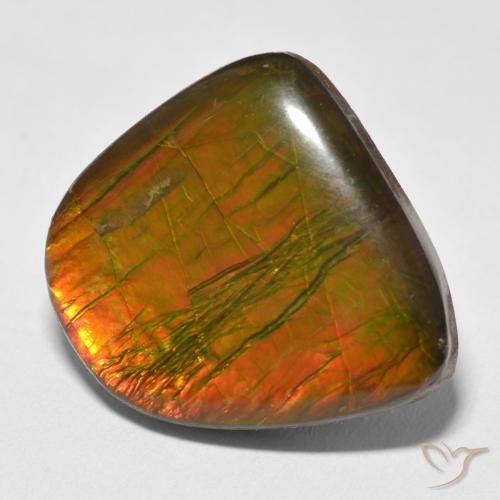 amolita Multicolorido Natural 17.88ct, Chique, Opaco