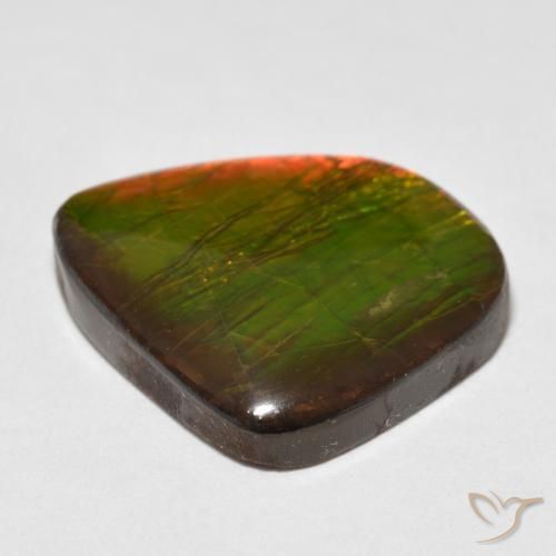 amolita Multicolorido Natural 17.88ct, Chique, Opaco
