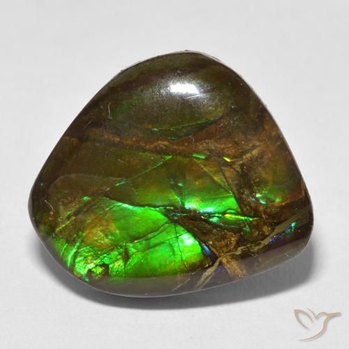 13.52ct Natural Multicolorido amolita, Chique, Opaco