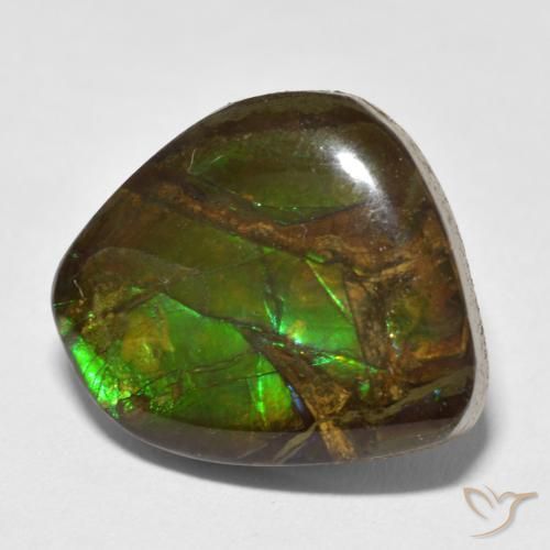 amolita Multicolorido Natural 13.52ct, Chique, Opaco