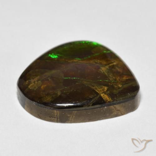 amolita Multicolorido Natural 13.52ct, Chique, Opaco