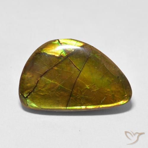11.63ct Natural Multicolorido amolita, Chique, Opaco