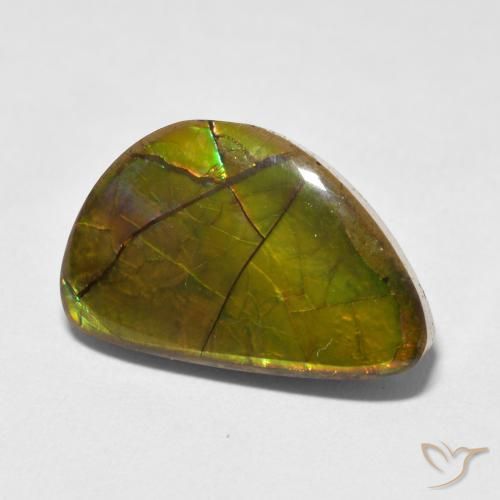 amolita Multicolorido Natural 11.63ct, Chique, Opaco