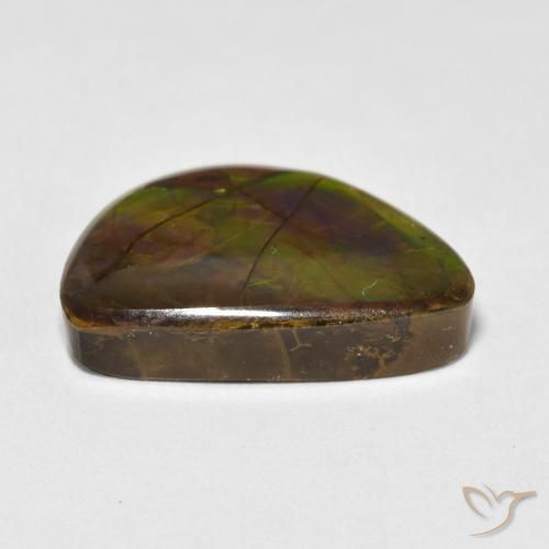 amolita Multicolorido Natural 11.63ct, Chique, Opaco