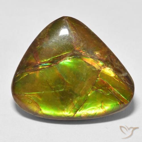 13.26ct Natural Multicolorido amolita, Chique, Opaco