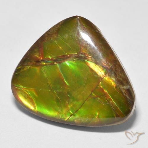 amolita Multicolorido Natural 13.26ct, Chique, Opaco